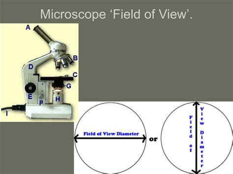 field of view for microscope|Field of View .